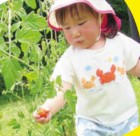 畑で遊ぶ子ども