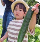 収穫したきゅうりを持つ子ども