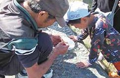 苗を手にする参加者