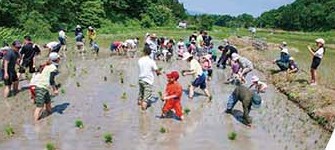 田植えをする親子と地域の方